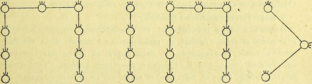 An illustration from Traité méthodique de science occulte / par Papus ; lettre-préface de Ad. Franck., 1891, leaf 557