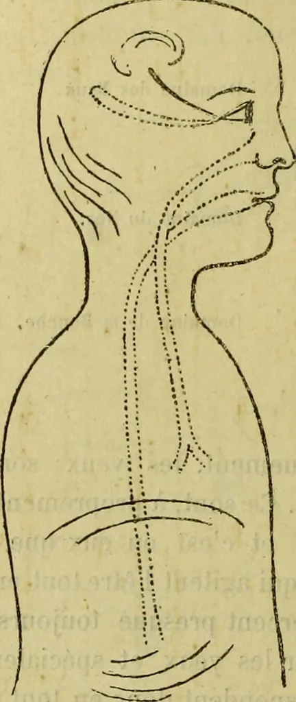 An illustration from Traité méthodique de science occulte / par Papus ; lettre-préface de Ad. Franck., 1891, leaf 866