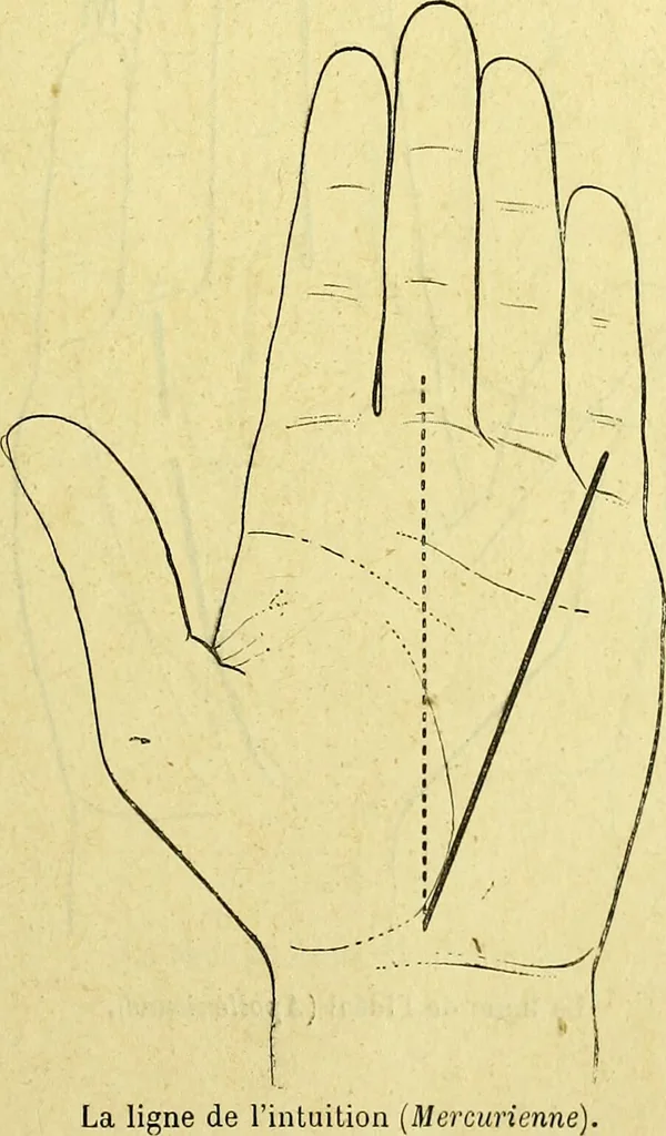 An illustration from Traité méthodique de science occulte / par Papus ; lettre-préface de Ad. Franck., 1891, leaf 873