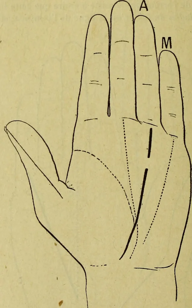 An illustration from Traité méthodique de science occulte / par Papus ; lettre-préface de Ad. Franck., 1891, leaf 874