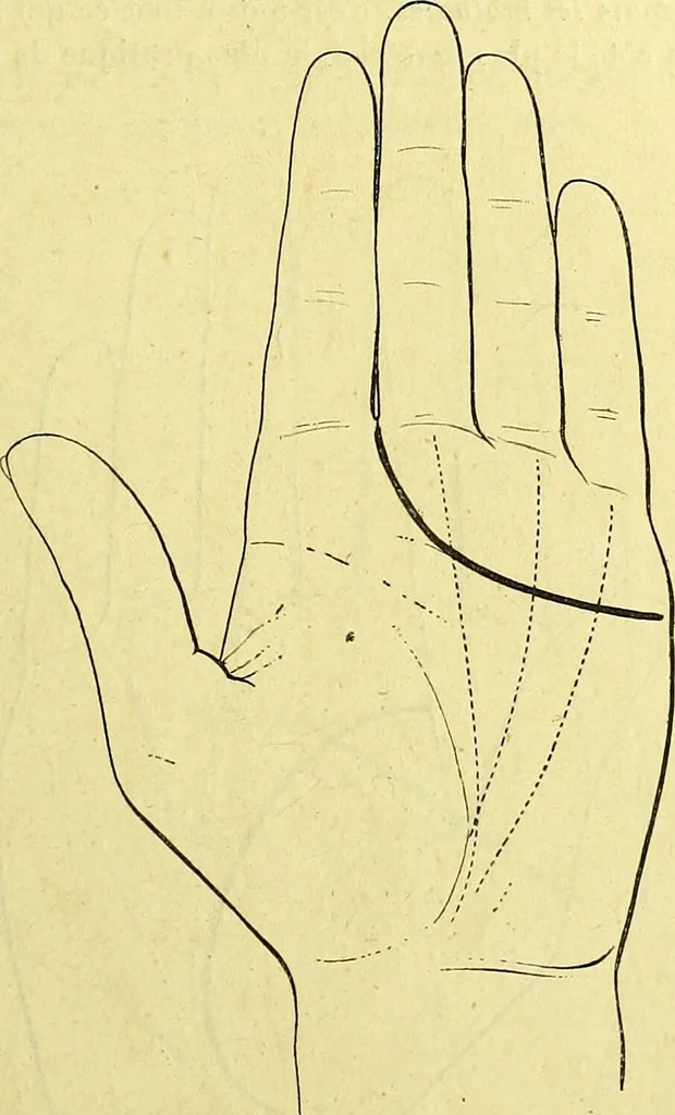 An illustration from Traité méthodique de science occulte / par Papus ; lettre-préface de Ad. Franck., 1891, leaf 875