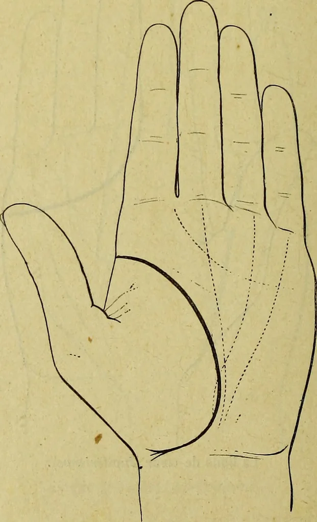 An illustration from Traité méthodique de science occulte / par Papus ; lettre-préface de Ad. Franck., 1891, leaf 876