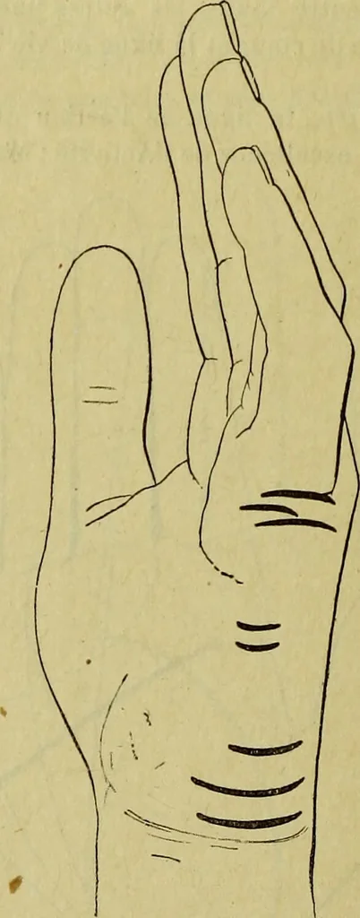 An illustration from Traité méthodique de science occulte / par Papus ; lettre-préface de Ad. Franck., 1891, leaf 878