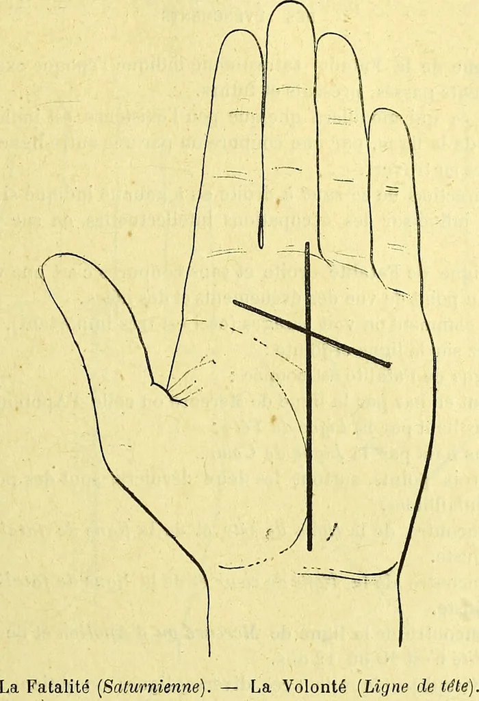 An illustration from Traité méthodique de science occulte / par Papus ; lettre-préface de Ad. Franck., 1891, leaf 881
