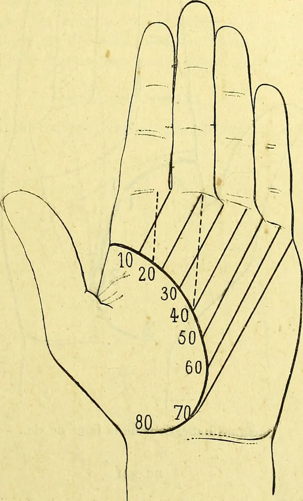 An illustration from Traité méthodique de science occulte / par Papus ; lettre-préface de Ad. Franck., 1891, leaf 885