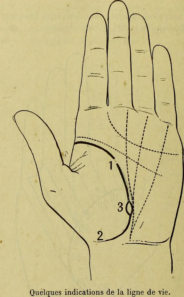An illustration from Traité méthodique de science occulte / par Papus ; lettre-préface de Ad. Franck., 1891, leaf 886