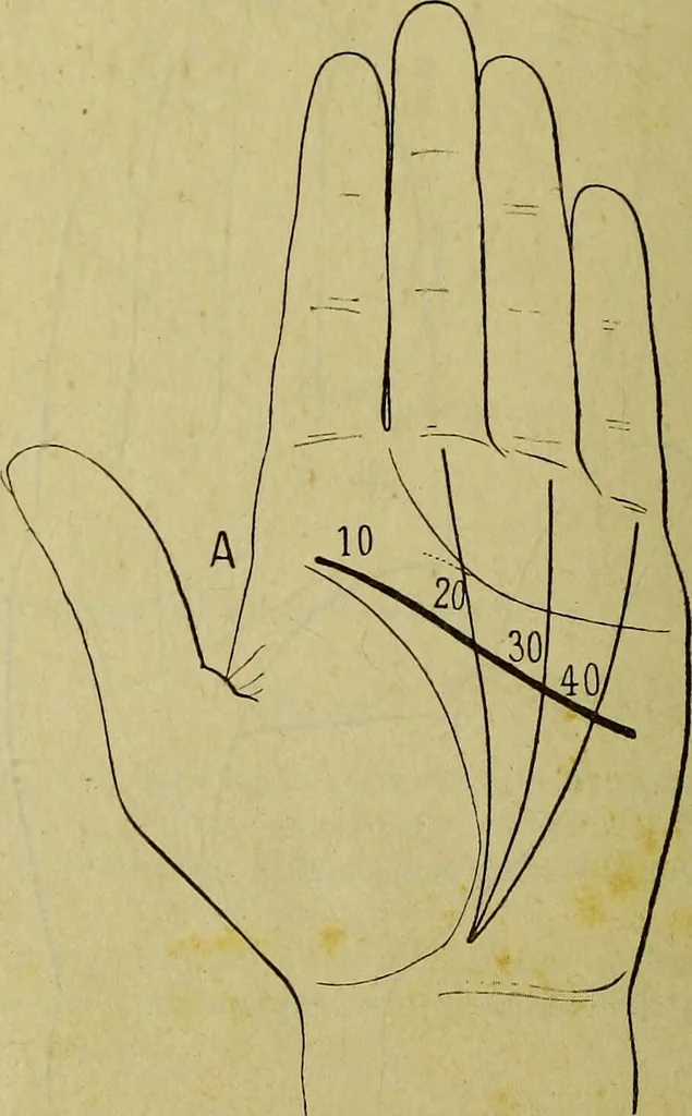 An illustration from Traité méthodique de science occulte / par Papus ; lettre-préface de Ad. Franck., 1891, leaf 888