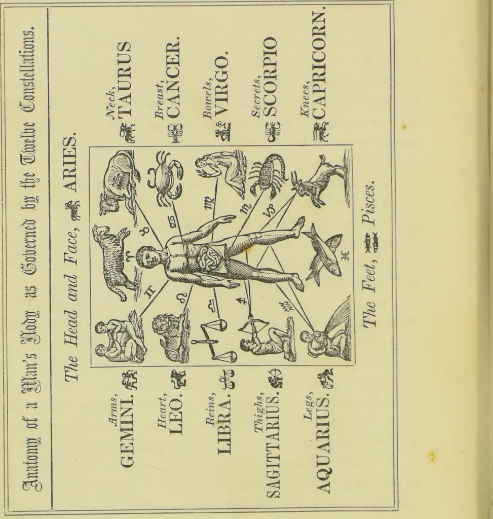 An illustration from The mysteries of astrology, and the wonders of magic : including a history of the rise and progress of astrology, and the various branches of necromancy : together with valuable directions and suggestions relative to the casting of nativities, and predictions by geomancy, chiromancy, physiognomy, &c. : also ... narratives, anecdotes, &c. illustrative of the marvels of witchcraft, spiritual phenomena, and the results of supernatural influence / by C.W. Roback., 1854, leaf 88