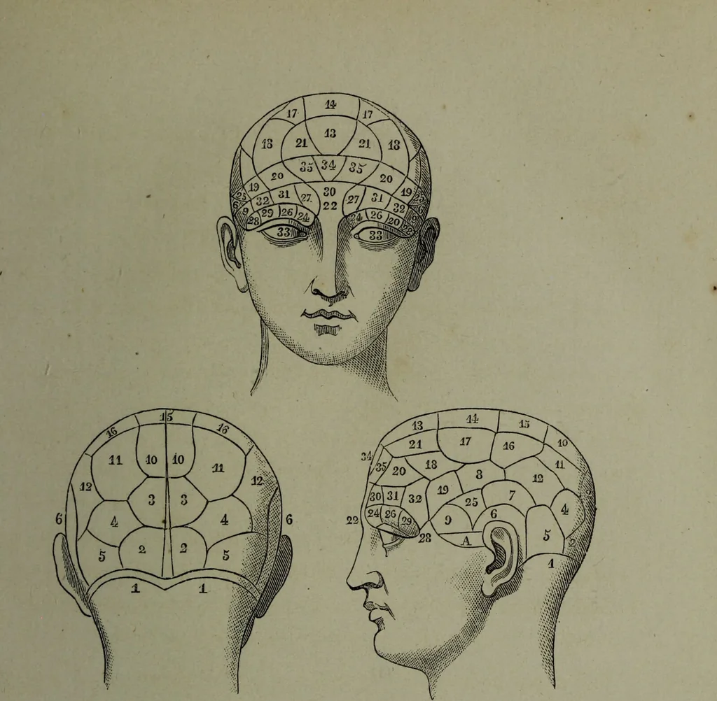 An illustration from La tête humaine : études de phrénologie et de physiognomonie appliquées aux personnages célèbres de l'antiquité et des temps modernes : avec 75 figures intercalées dans le texte / par Charles Rouvin., 1877, leaf 13