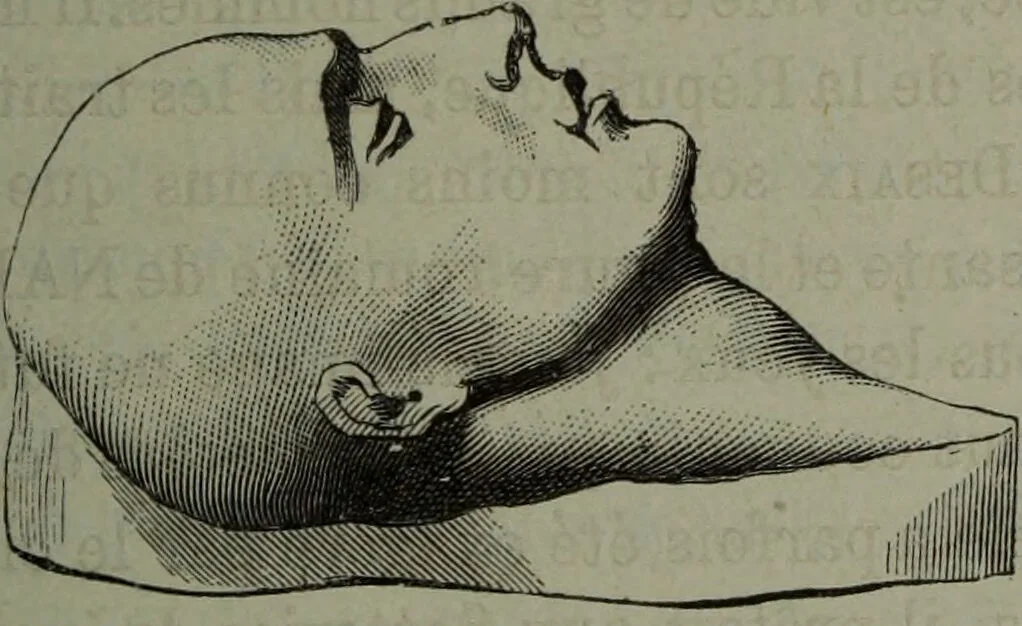 An illustration from La tête humaine : études de phrénologie et de physiognomonie appliquées aux personnages célèbres de l'antiquité et des temps modernes : avec 75 figures intercalées dans le texte / par Charles Rouvin., 1877, leaf 193