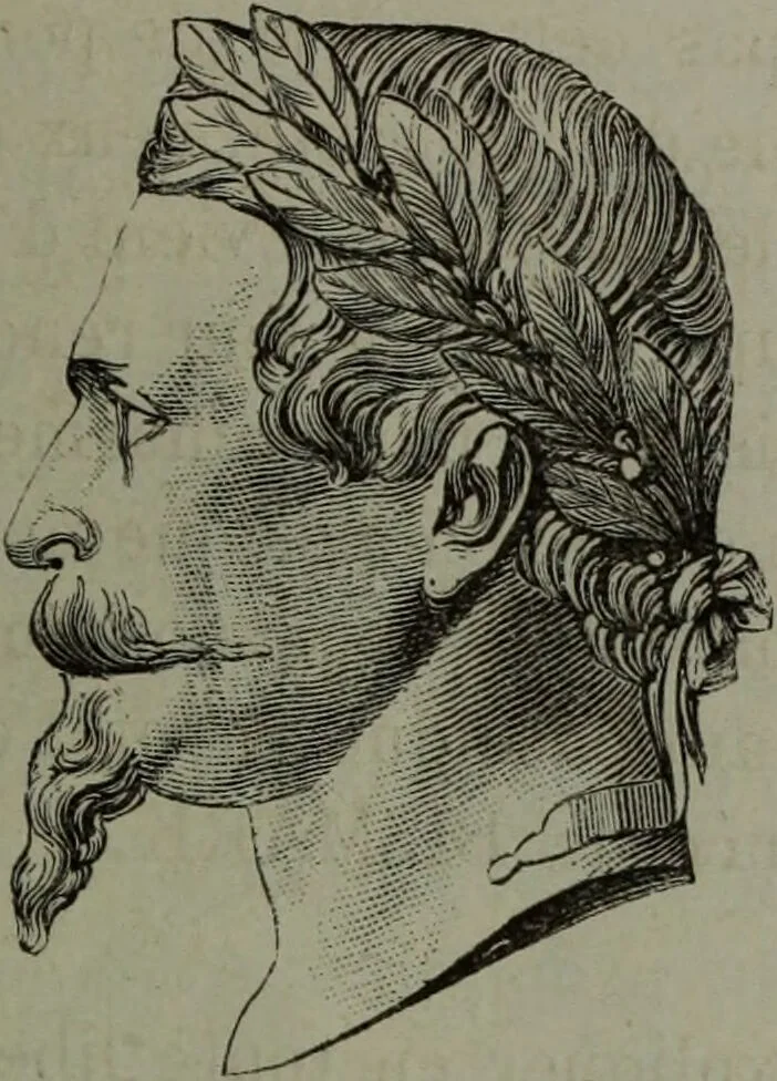 An illustration from La tête humaine : études de phrénologie et de physiognomonie appliquées aux personnages célèbres de l'antiquité et des temps modernes : avec 75 figures intercalées dans le texte / par Charles Rouvin., 1877, leaf 237