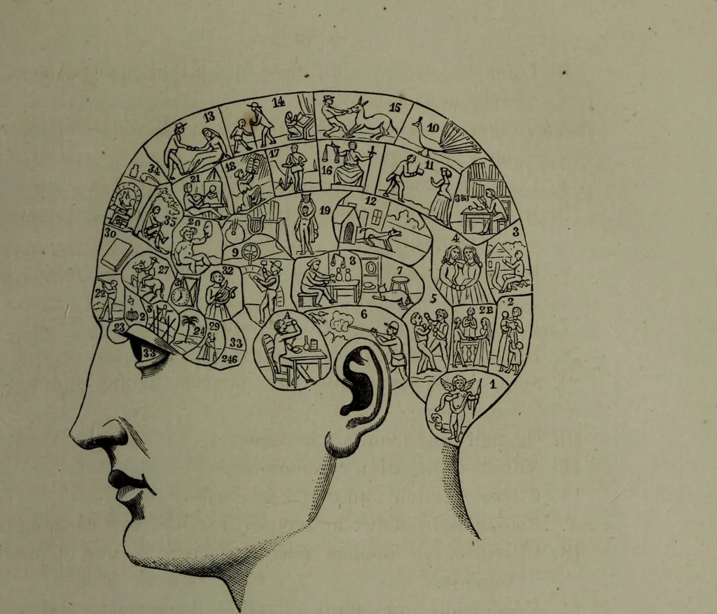 An illustration from La tête humaine : études de phrénologie et de physiognomonie appliquées aux personnages célèbres de l'antiquité et des temps modernes : avec 75 figures intercalées dans le texte / par Charles Rouvin., 1877, leaf 67