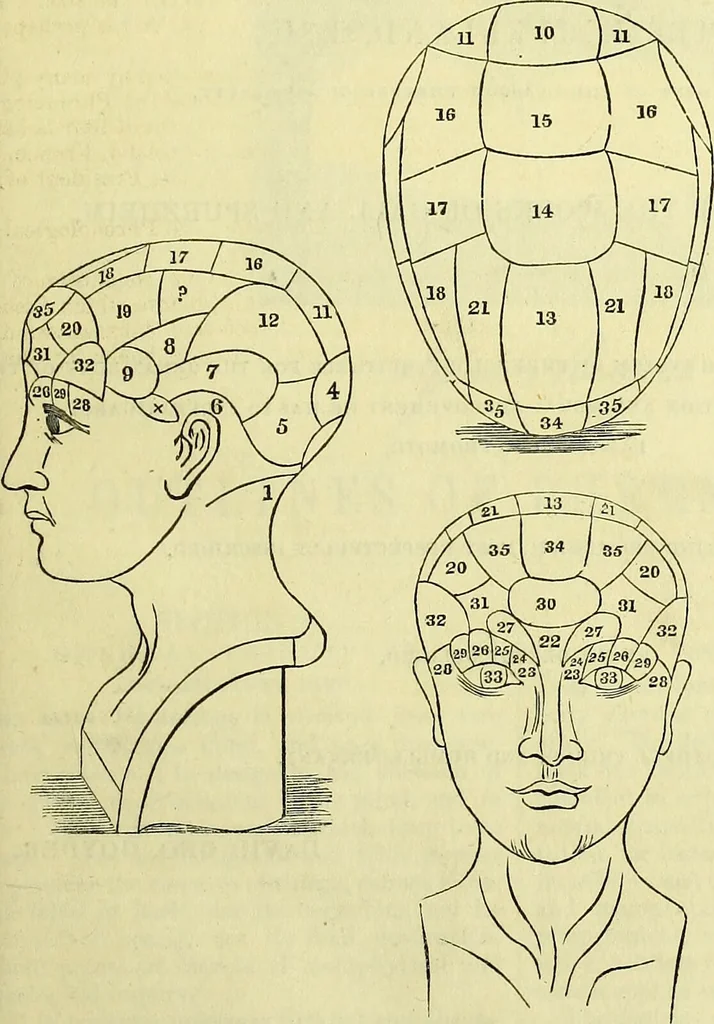 An illustration from Outlines of phrenology / by the late J.G. Spurzheim., 1844, leaf 1