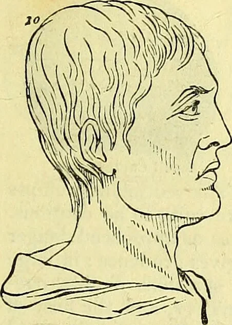 An illustration from Outlines of phrenology / by the late J.G. Spurzheim., 1844, leaf 11