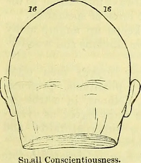 An illustration from Outlines of phrenology / by the late J.G. Spurzheim., 1844, leaf 13