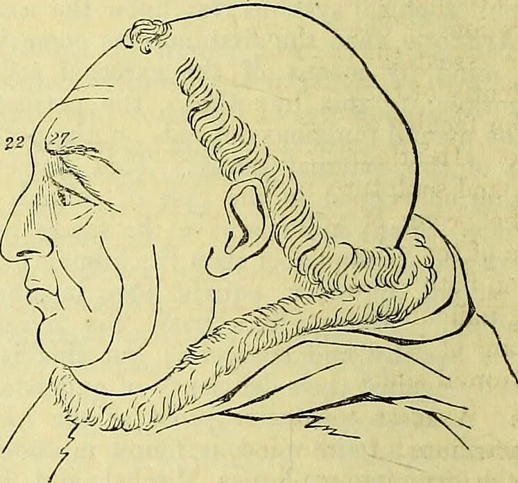 An illustration from Outlines of phrenology / by the late J.G. Spurzheim., 1844, leaf 16