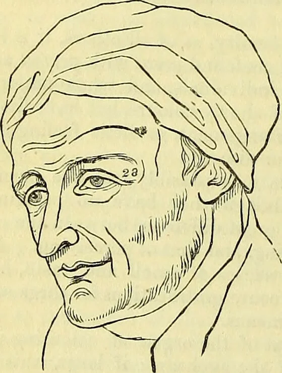 An illustration from Outlines of phrenology / by the late J.G. Spurzheim., 1844, leaf 18