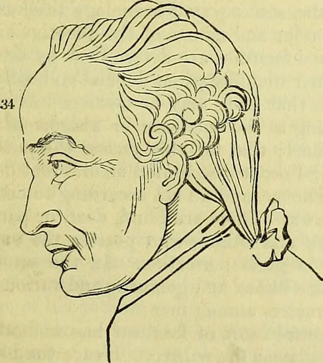 An illustration from Outlines of phrenology / by the late J.G. Spurzheim., 1844, leaf 19