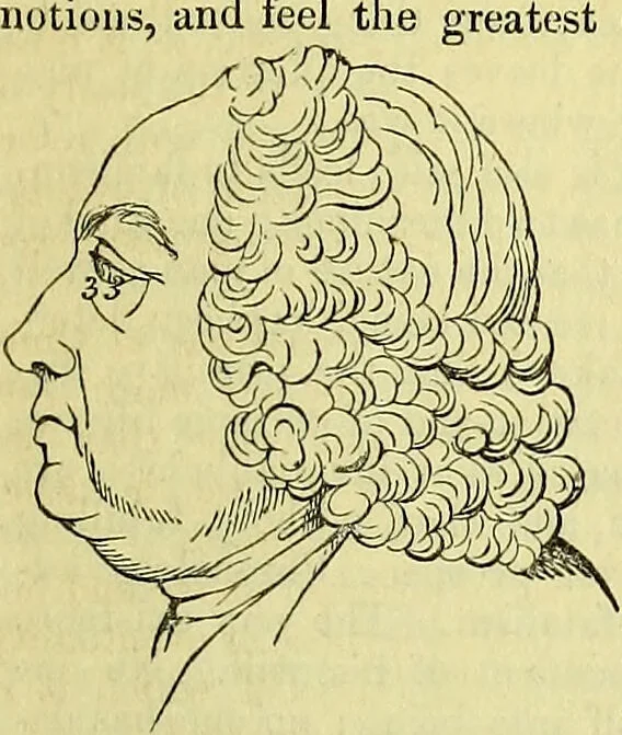 An illustration from Outlines of phrenology / by the late J.G. Spurzheim., 1844, leaf 19