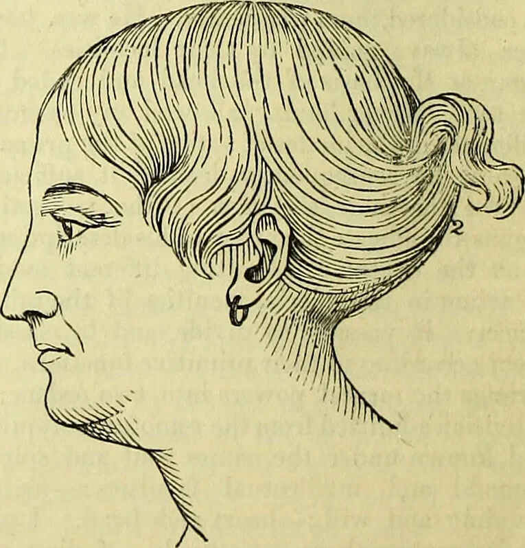 An illustration from Outlines of phrenology / by the late J.G. Spurzheim., 1844, leaf 8