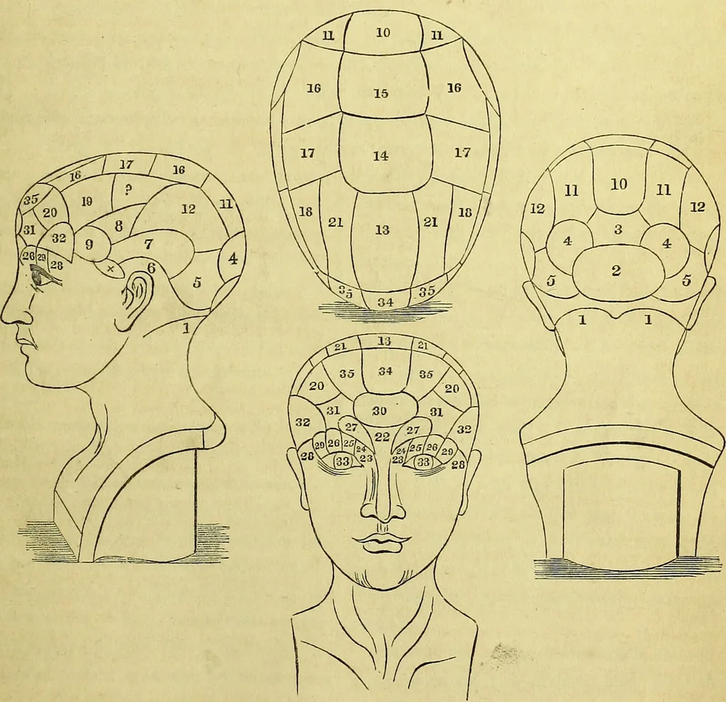 An illustration from A sketch of the natural laws of man / by the late J.G. Spurzheim., 1844, leaf 1