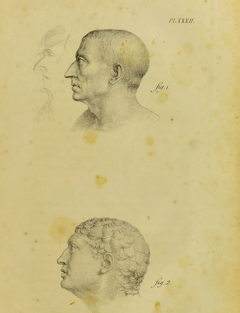 An illustration from Phrenology, in connexion with the study of physiognomy / by G. Spurzheim., 1826, leaf 223