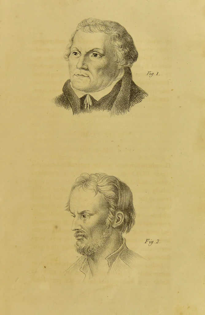 An illustration from Phrenology, in connexion with the study of physiognomy / by G. Spurzheim., 1826, leaf 231