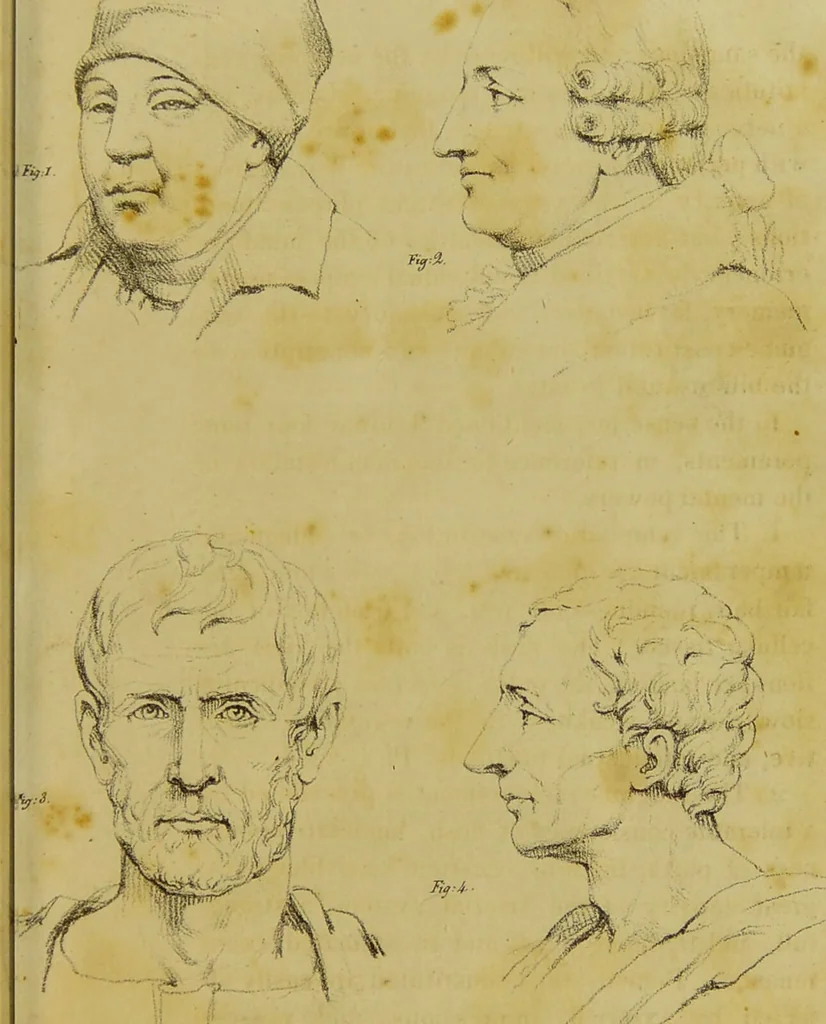 An illustration from Phrenology, in connexion with the study of physiognomy / by G. Spurzheim., 1826, leaf 29