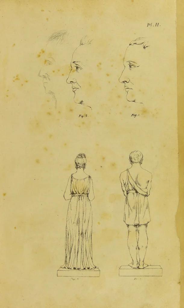An illustration from Phrenology, in connexion with the study of physiognomy / by G. Spurzheim., 1826, leaf 33