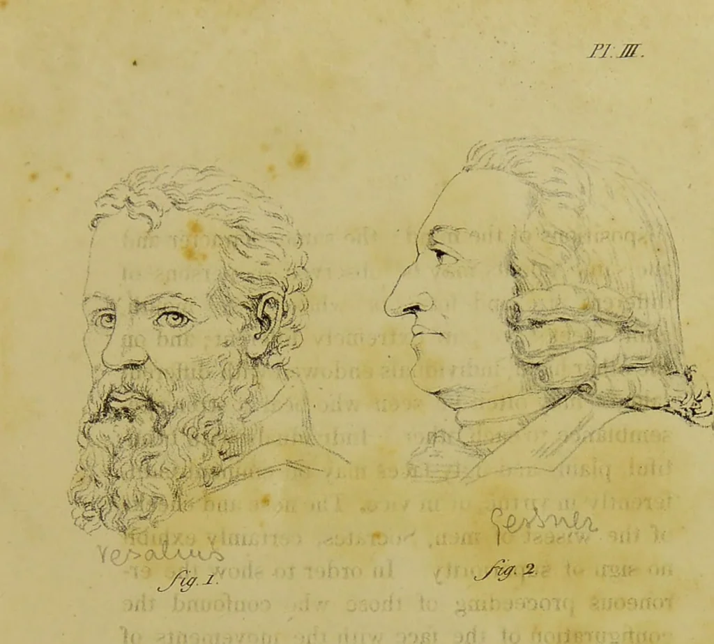 An illustration from Phrenology, in connexion with the study of physiognomy / by G. Spurzheim., 1826, leaf 37