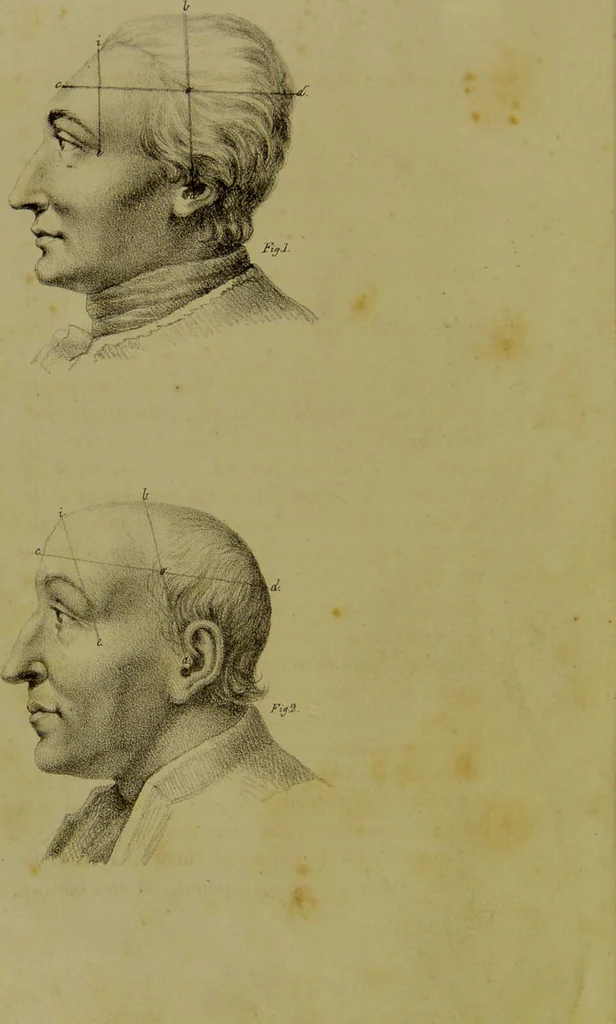 An illustration from Phrenology, in connexion with the study of physiognomy / by G. Spurzheim., 1826, leaf 54
