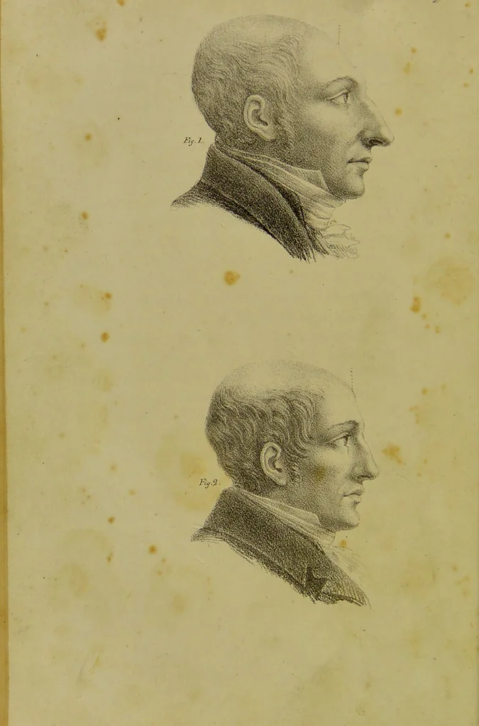 An illustration from Phrenology, in connexion with the study of physiognomy / by G. Spurzheim., 1826, leaf 58