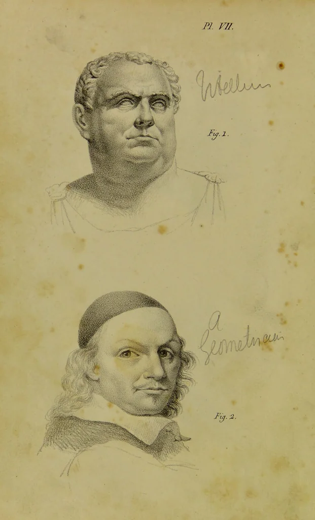 An illustration from Phrenology, in connexion with the study of physiognomy / by G. Spurzheim., 1826, leaf 60