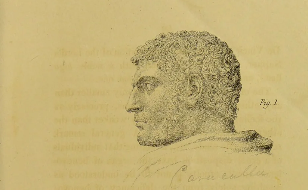 An illustration from Phrenology, in connexion with the study of physiognomy / by G. Spurzheim., 1826, leaf 91