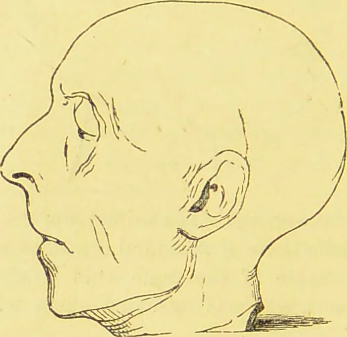 An illustration from The constitution of man considered in relation to external objects / by George Combe., 1860, leaf 176