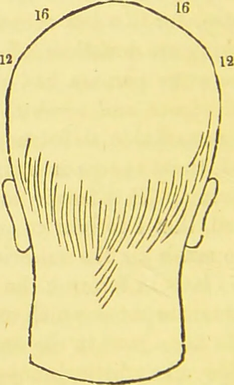 An illustration from The constitution of man considered in relation to external objects / by George Combe., 1860, leaf 216