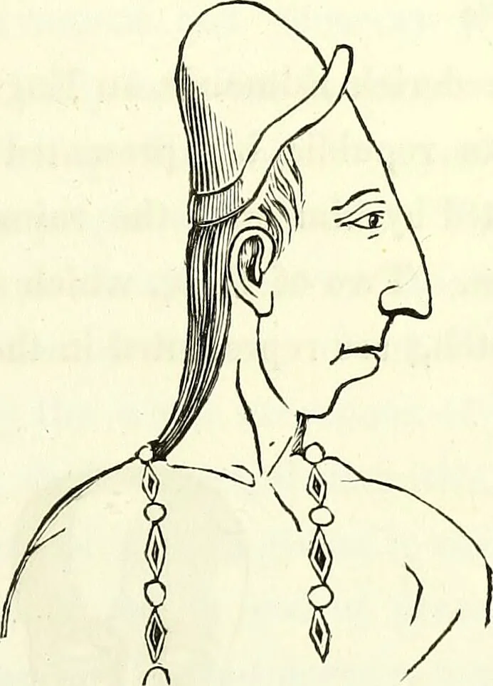 An illustration from Crania americana or, A comparative view of the skulls of various aboriginal nations of North and South America : to which is prefixed an essay on the varities of the human species / by Samuel George Morton., 1839, leaf 167