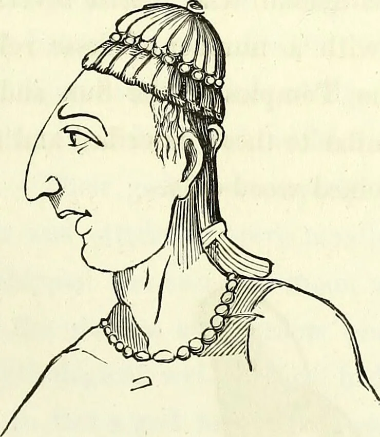 An illustration from Crania americana or, A comparative view of the skulls of various aboriginal nations of North and South America : to which is prefixed an essay on the varities of the human species / by Samuel George Morton., 1839, leaf 167