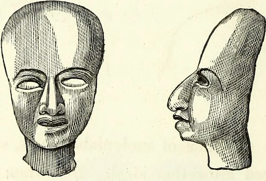 An illustration from Crania americana or, A comparative view of the skulls of various aboriginal nations of North and South America : to which is prefixed an essay on the varities of the human species / by Samuel George Morton., 1839, leaf 168
