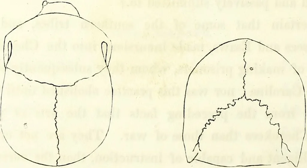 An illustration from Crania americana or, A comparative view of the skulls of various aboriginal nations of North and South America : to which is prefixed an essay on the varities of the human species / by Samuel George Morton., 1839, leaf 194