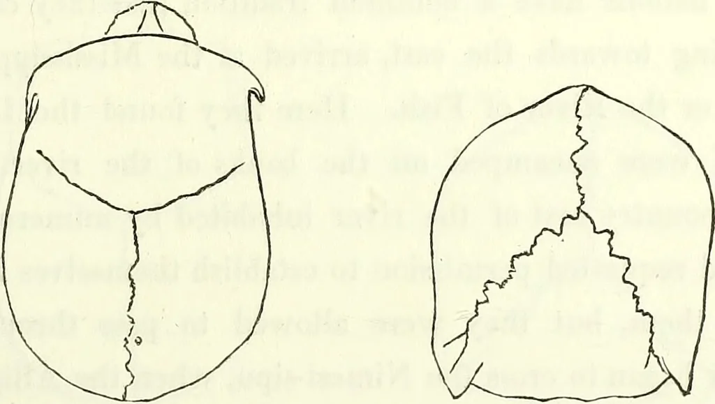 An illustration from Crania americana or, A comparative view of the skulls of various aboriginal nations of North and South America : to which is prefixed an essay on the varities of the human species / by Samuel George Morton., 1839, leaf 209