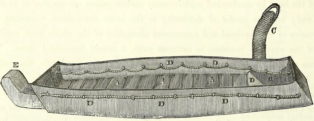 An illustration from Crania americana or, A comparative view of the skulls of various aboriginal nations of North and South America : to which is prefixed an essay on the varities of the human species / by Samuel George Morton., 1839, leaf 226