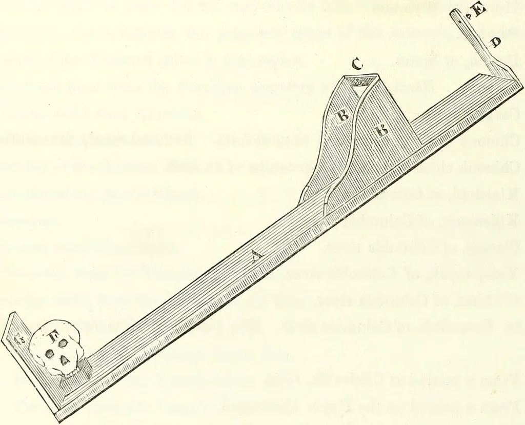 An illustration from Crania americana or, A comparative view of the skulls of various aboriginal nations of North and South America : to which is prefixed an essay on the varities of the human species / by Samuel George Morton., 1839, leaf 316