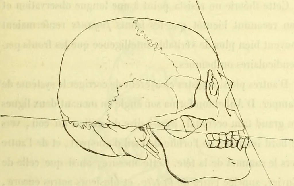 An illustration from Introduction a l'étude philosophique et pratique de la phrénologie., 1845, leaf 35