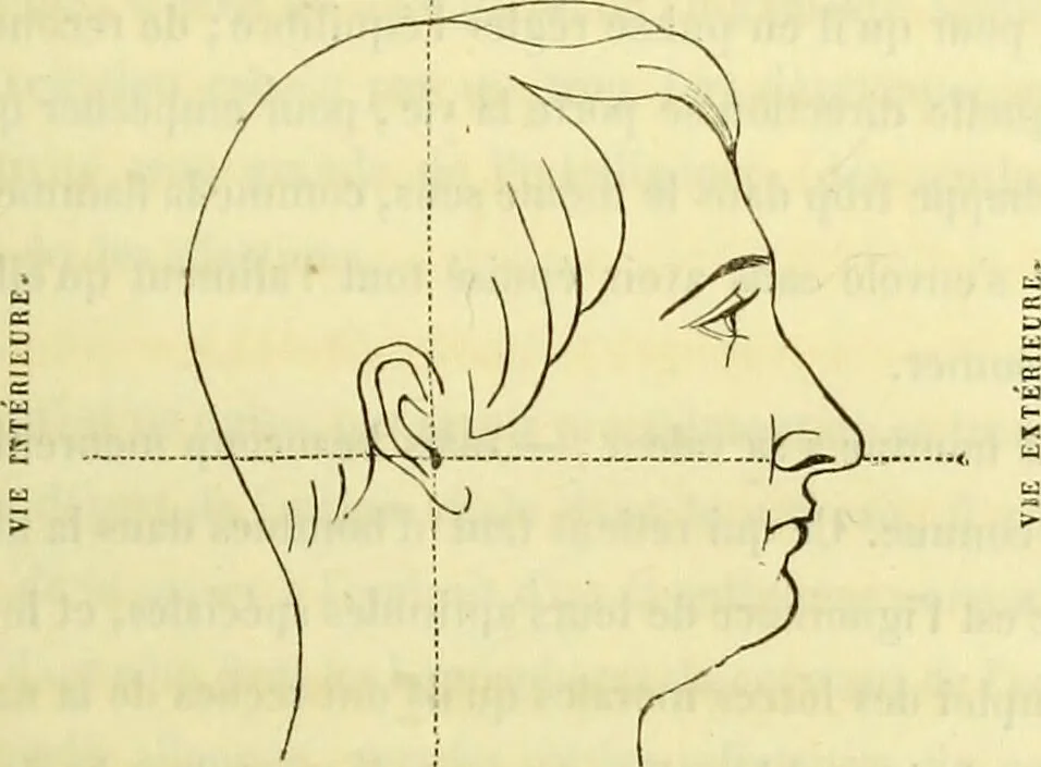 An illustration from Introduction a l'étude philosophique et pratique de la phrénologie., 1845, leaf 49