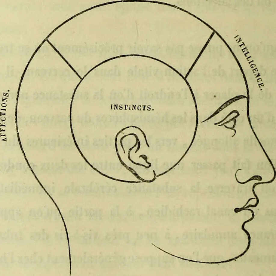 An illustration from Introduction a l'étude philosophique et pratique de la phrénologie., 1845, leaf 52