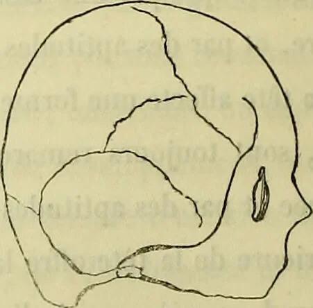 An illustration from Introduction a l'étude philosophique et pratique de la phrénologie., 1845, leaf 54