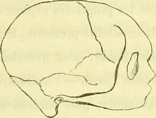An illustration from Introduction a l'étude philosophique et pratique de la phrénologie., 1845, leaf 55