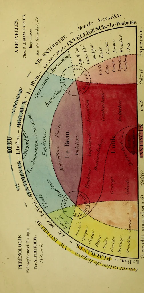 An illustration from Introduction a l'étude philosophique et pratique de la phrénologie., 1845, leaf 6
