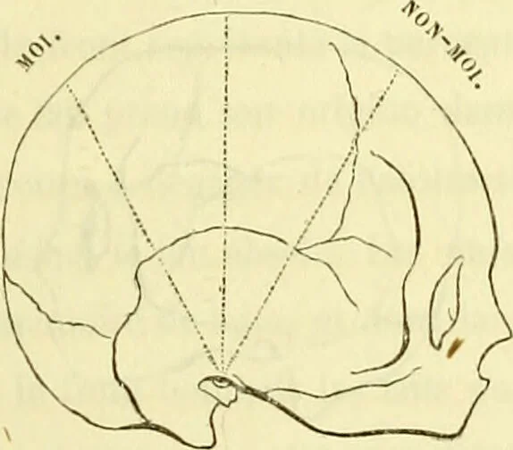 An illustration from Introduction a l'étude philosophique et pratique de la phrénologie., 1845, leaf 71